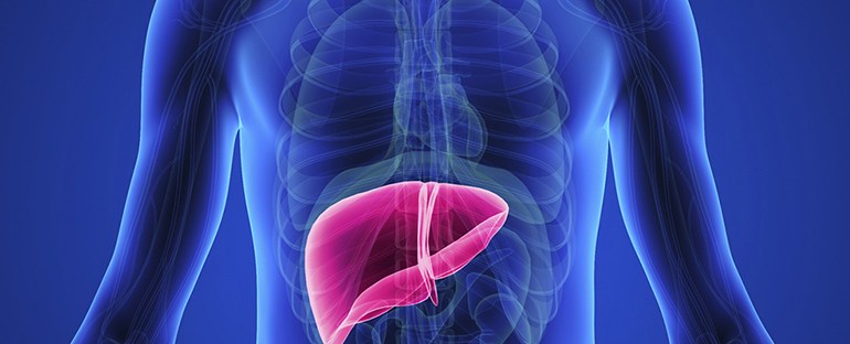 Pengertian Singkat Penyakit Hati atau Liver